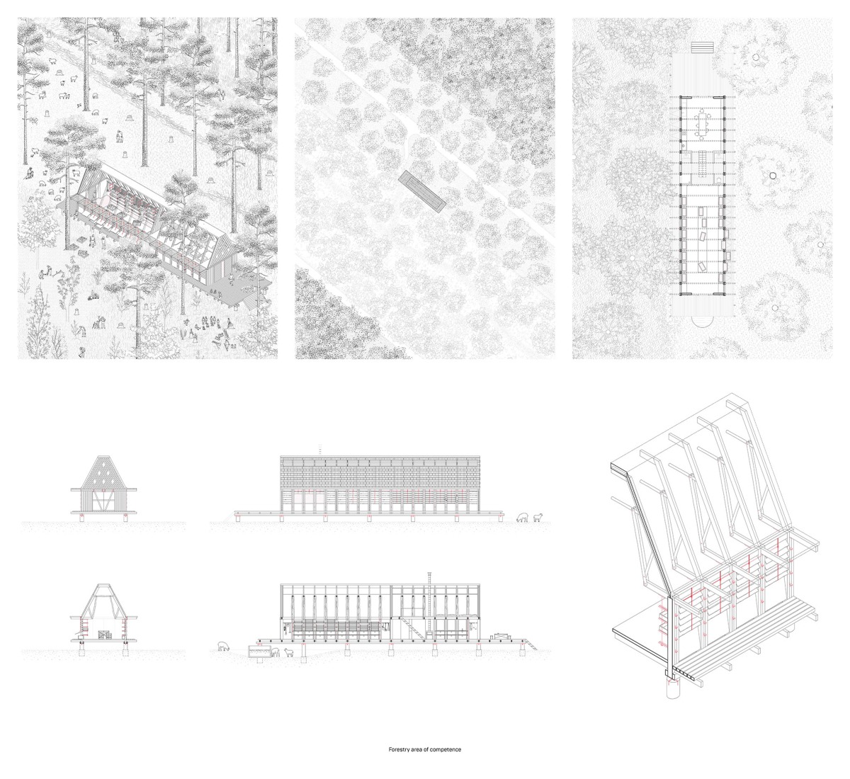 Forest & Phoenix por Carolina von Hammerstein, Vera Kellmann. Universidad Técnica de Berlín. Facultad VI, Planificación, Construcción y Medio Ambiente - Instituto de Arquitectura (Berlín, Alemania).
