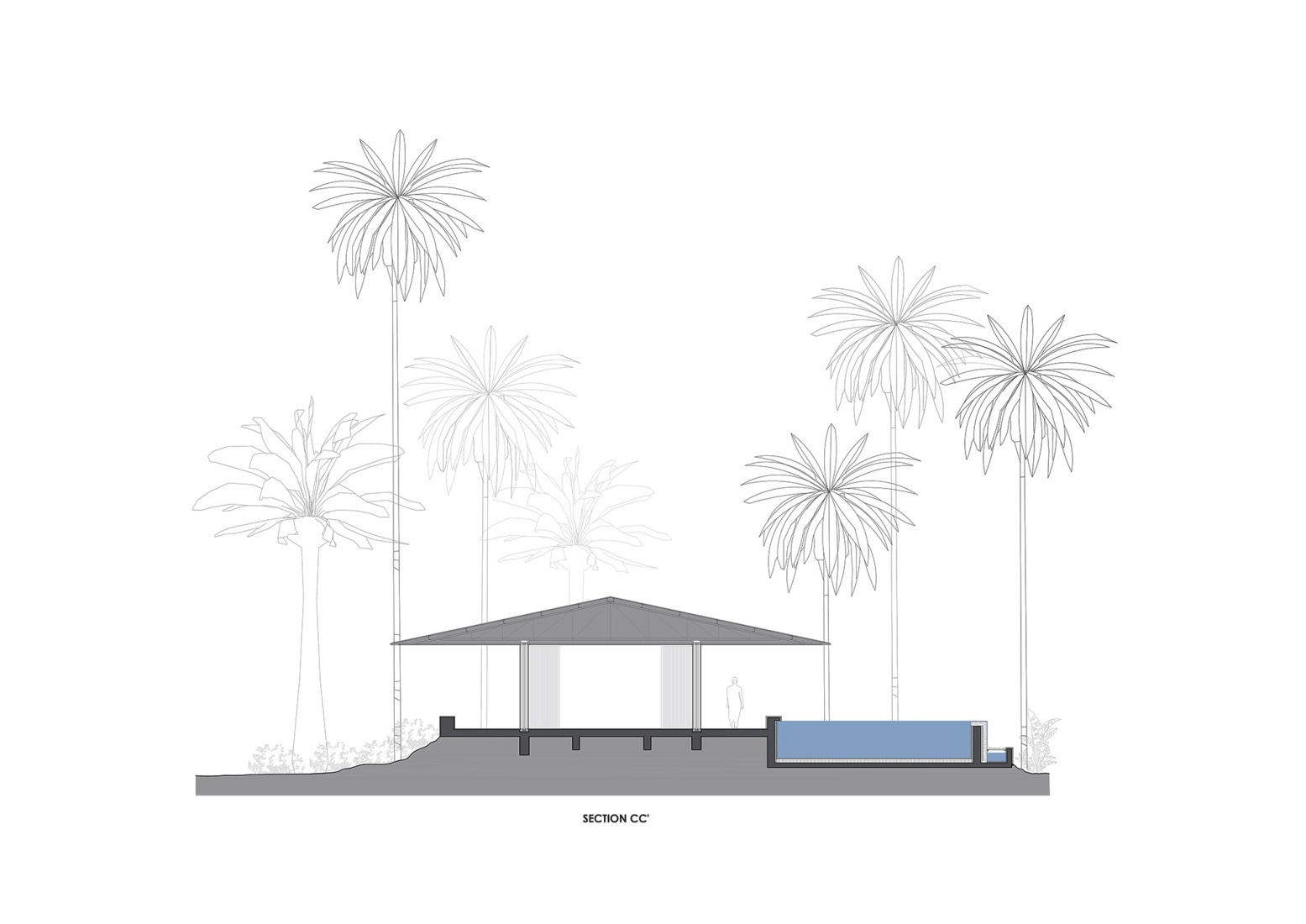 Section C-C. Parikrama House by SPASM Design Architects.