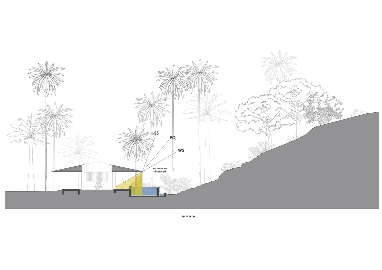 Section D-D. Parikrama House by SPASM Design Architects.