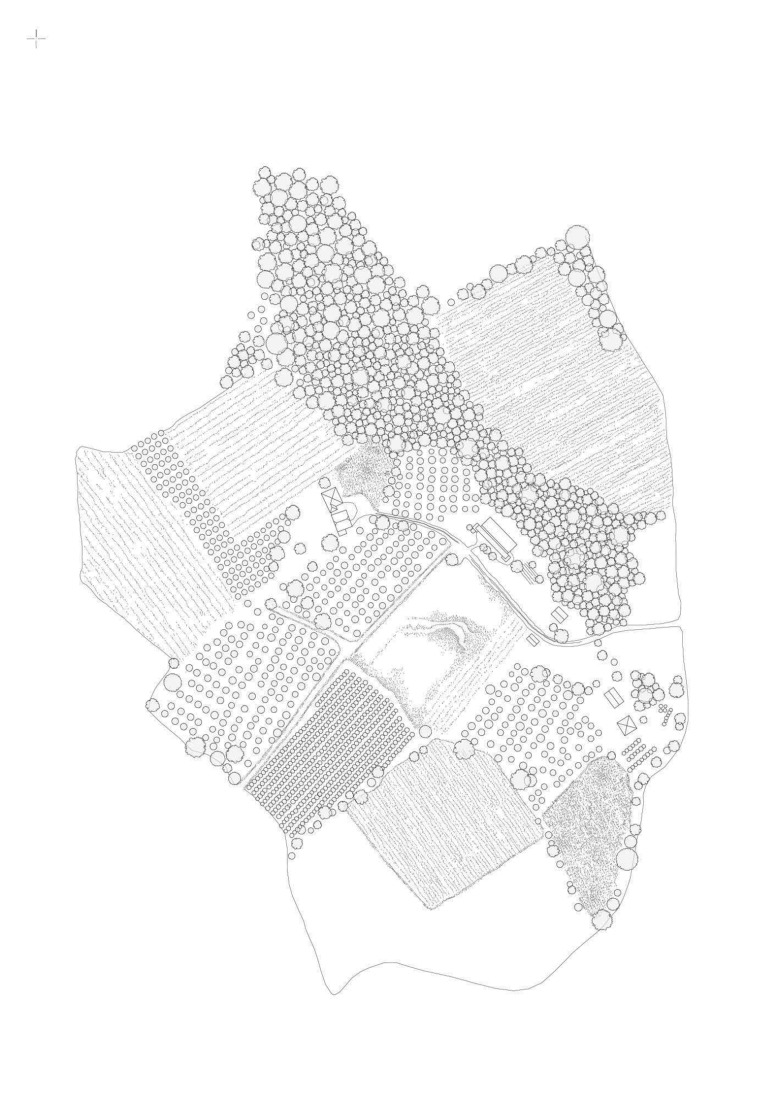 Plano de emplazamiento. Casa para cinco mujeres por TEN Studio.