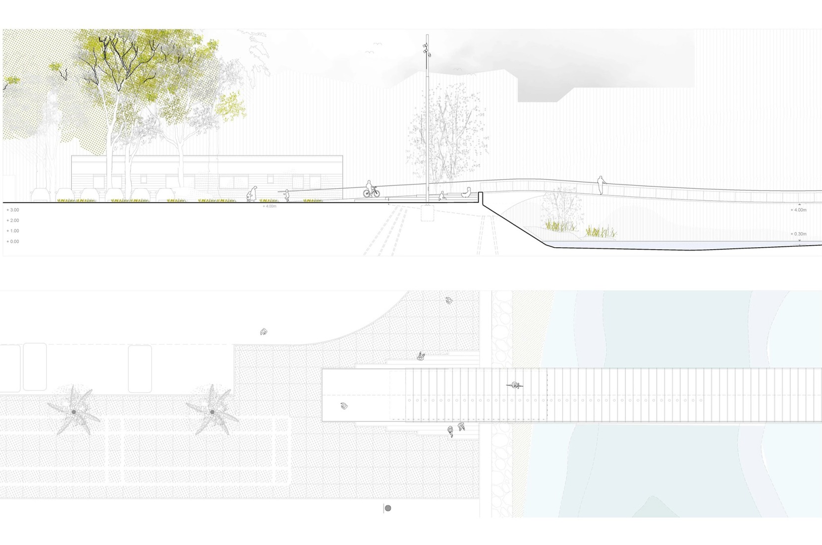 Plano de planta baja y sección. Una línea sobre el Cervol por SBP Ingenieros + Burgos & Garrido Arquitectos.