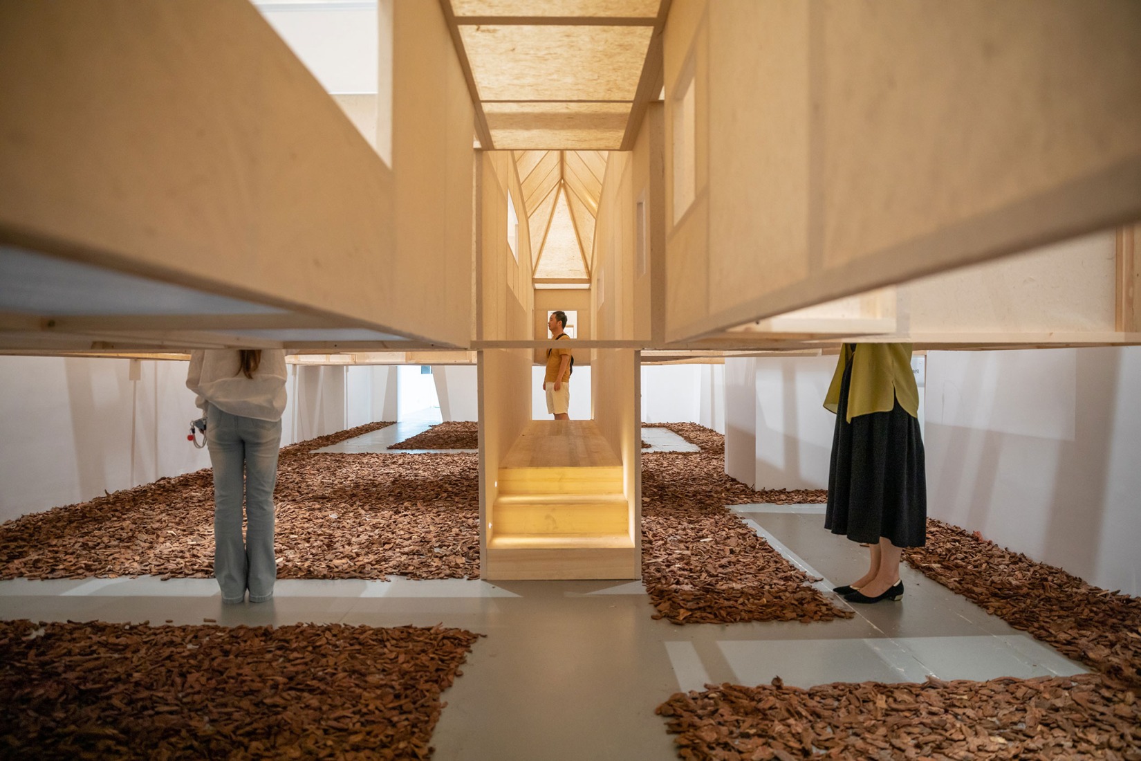 Garden for the eyes by c+d studio. Photography by Xian Song.