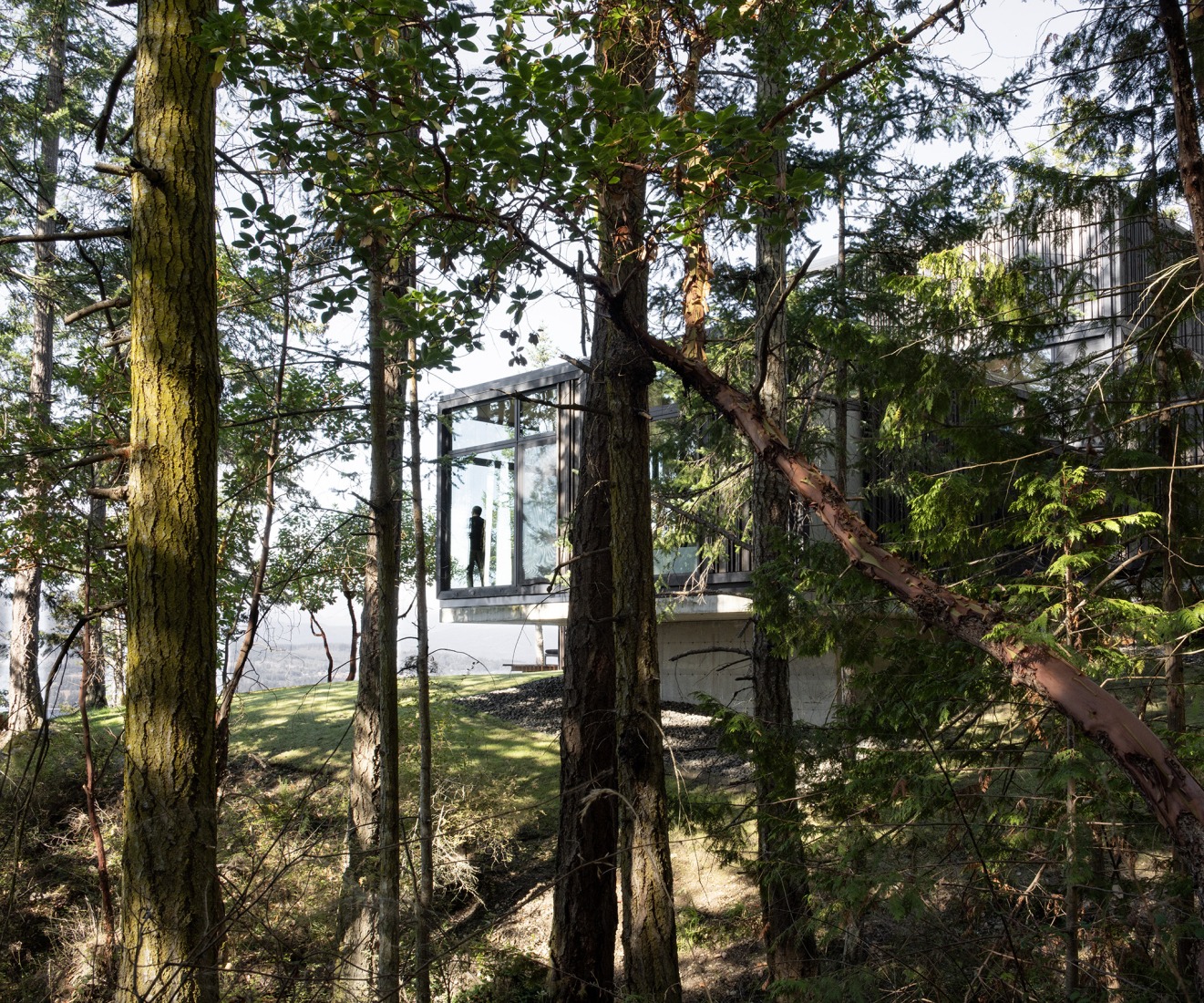 Discovery Bay House by Dekleva Gregoric Architects. Photograph by Flavio Coddou.