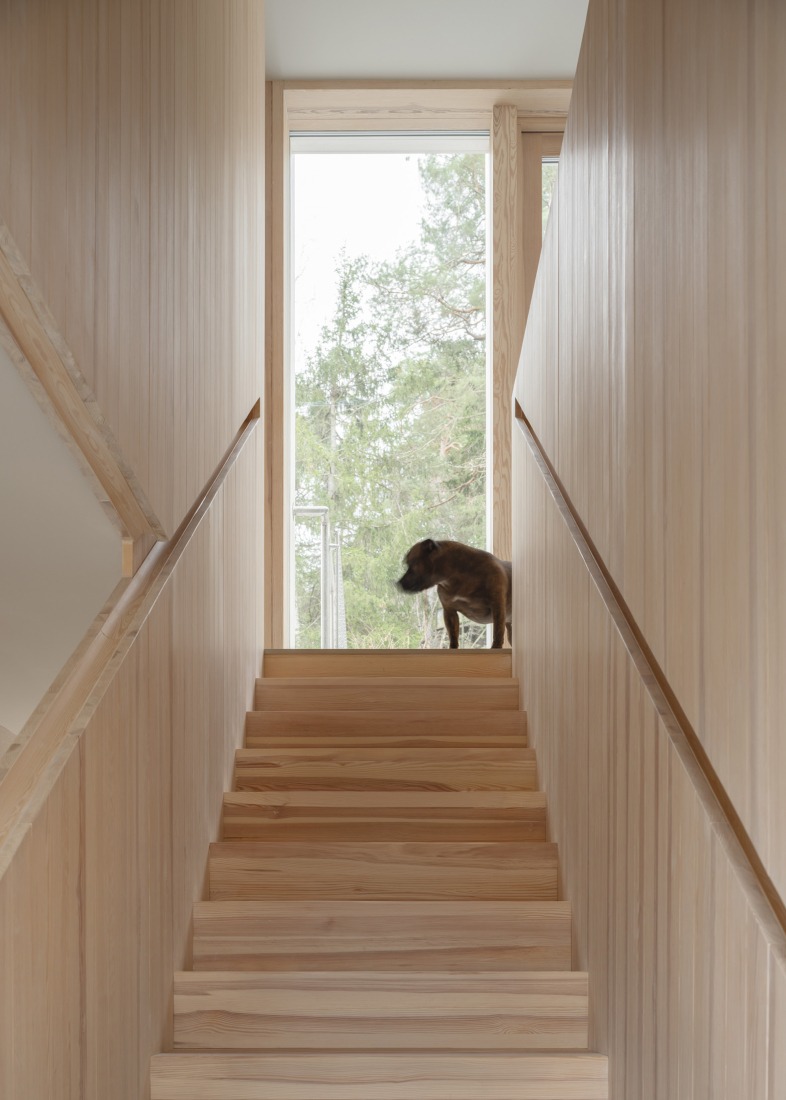 Ravine House by Kolman Boye architects. Photograph by Johan Dehlin.