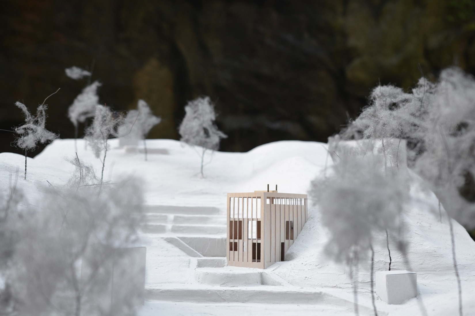 Model. Ravine House by Kolman Boye Architects.