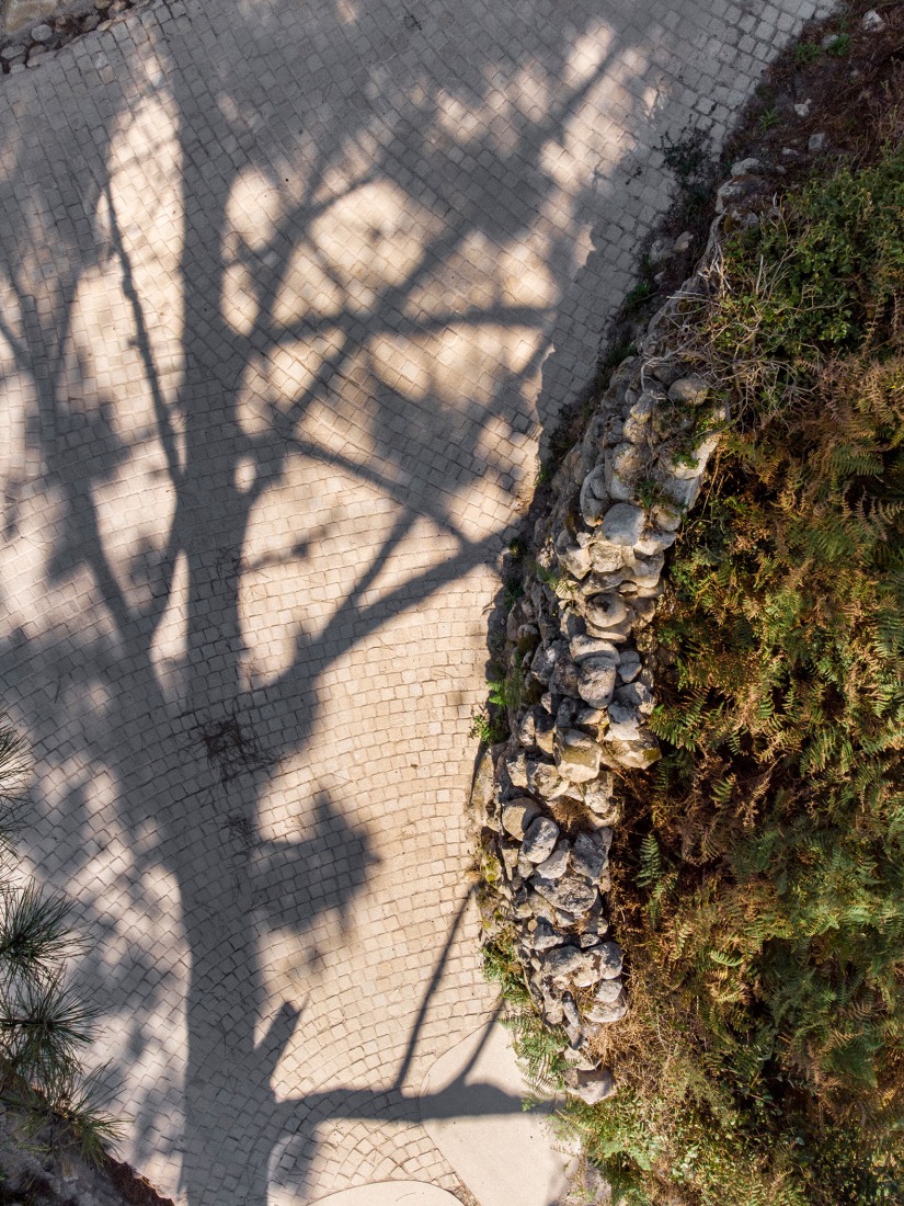 Acondicionamiento del Puente del río Villar por María Fandiño Iglesias. Fotografía por Héctor Santos-Díez.