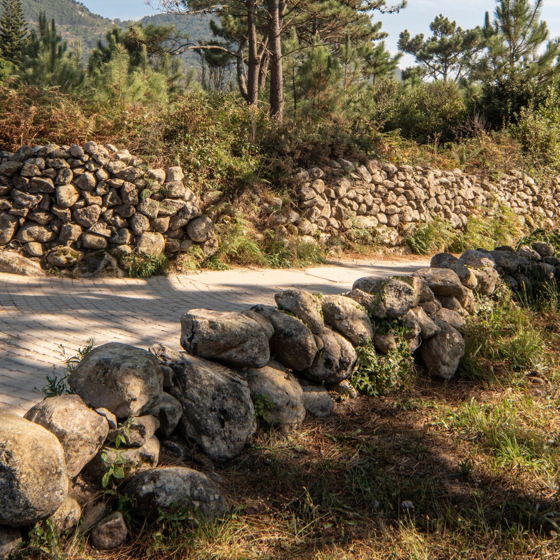 Acondicionamiento del Puente del río Villar por María Fandiño Iglesias. Fotografía por Héctor Santos-Díez.