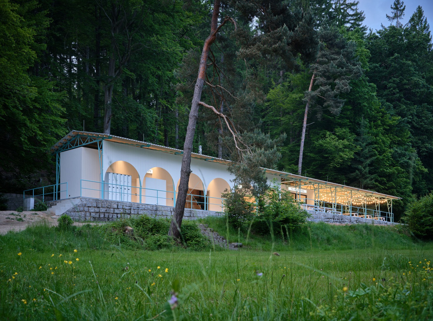 Forest Pool by Mjölk architekti + Marie Vondráková. Photograph by BoysPlayNice.