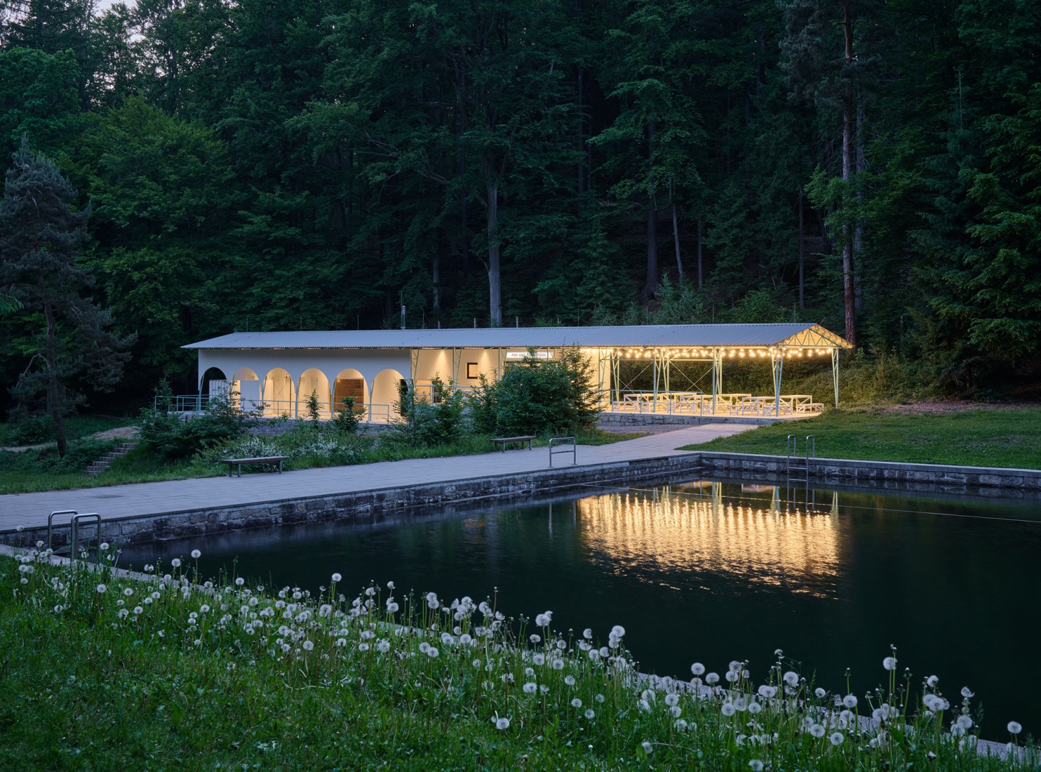 Forest Pool by Mjölk architekti + Marie Vondráková. Photograph by BoysPlayNice.