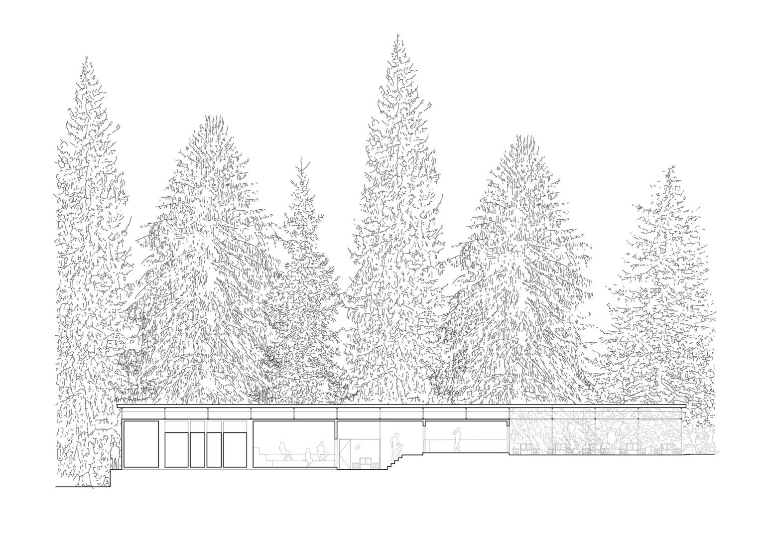 Longitudinal section. Forest Pool by Mjölk architekti + Marie Vondráková.
