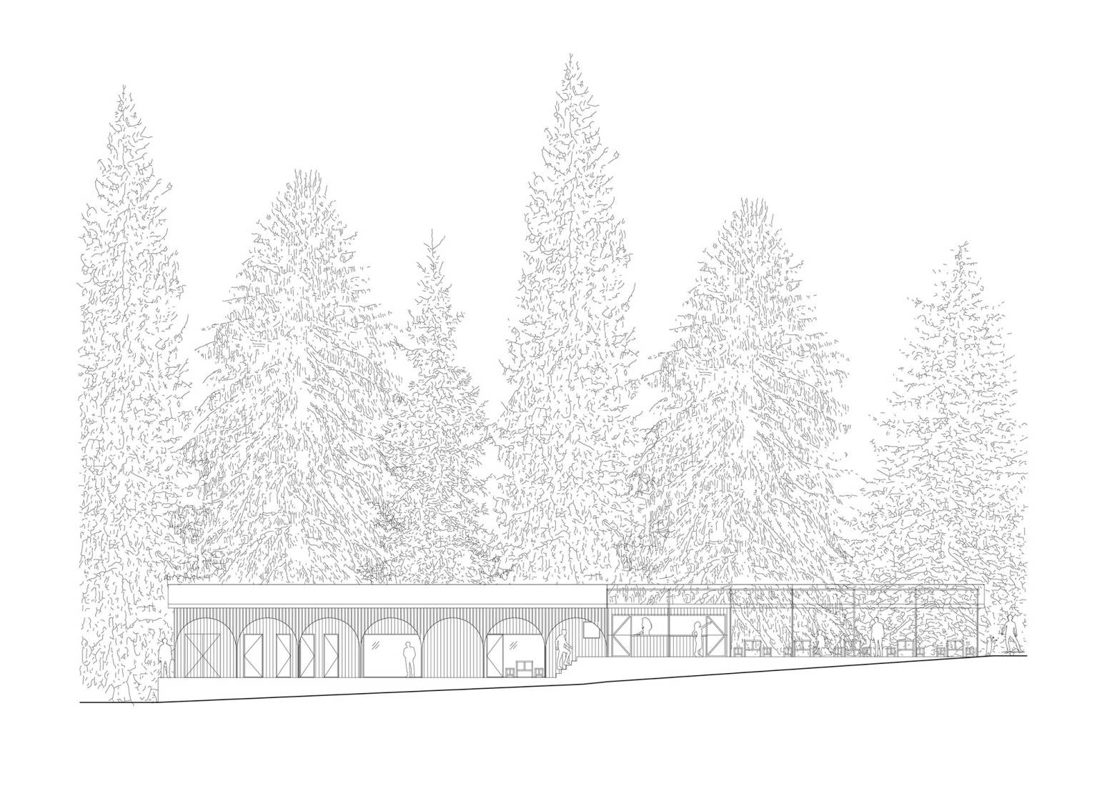 South elevation. Forest Pool by Mjölk architekti + Marie Vondráková.
