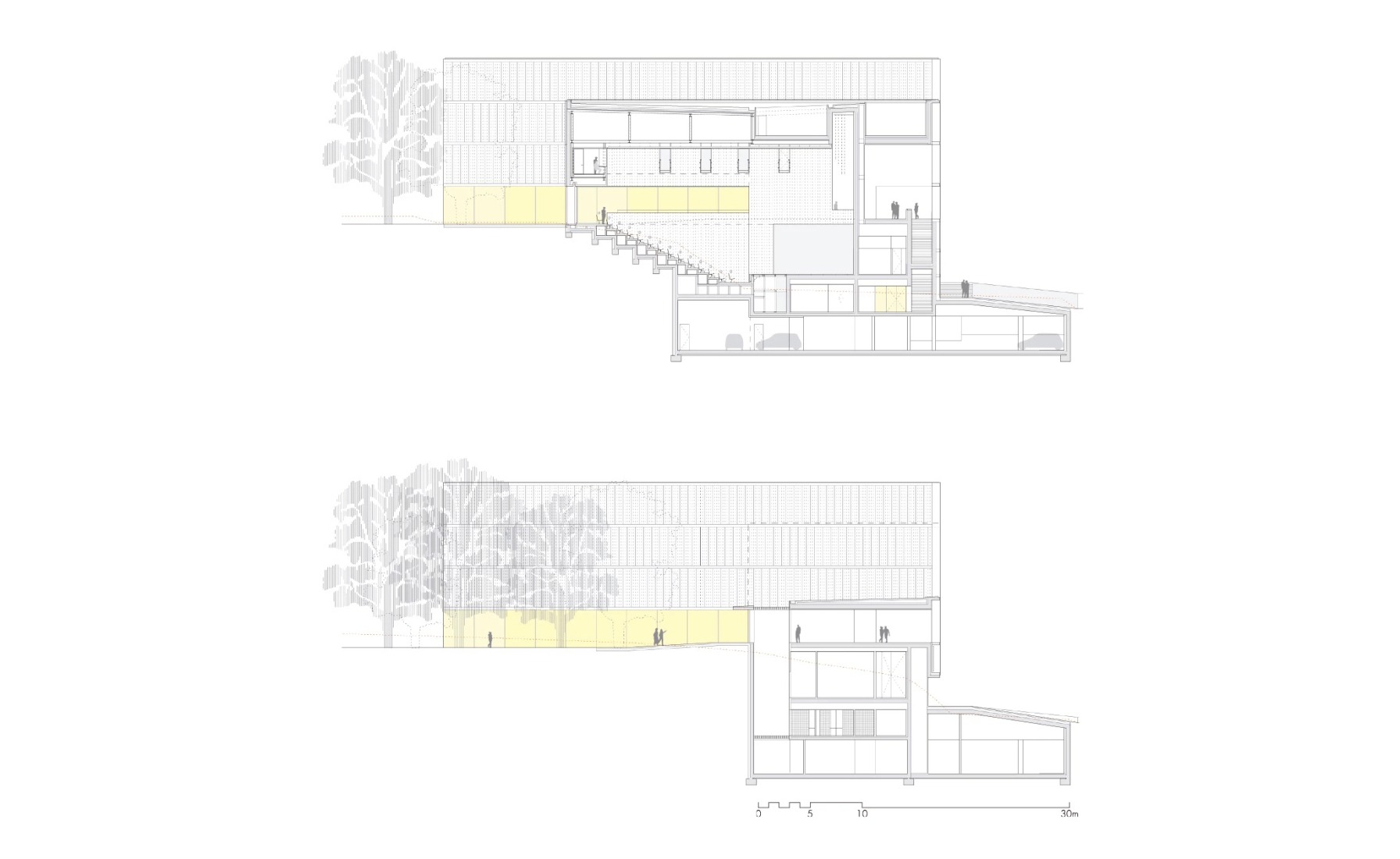 Sections. Lugo Auditorium by Paredes Pedrosa.