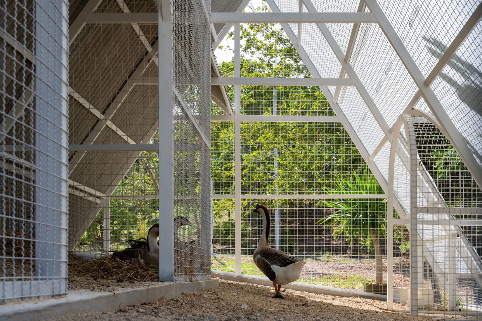 Camping Landhopper por PHTAA Living Design. Fotografía de Kukkong Thirathomrongkiat.