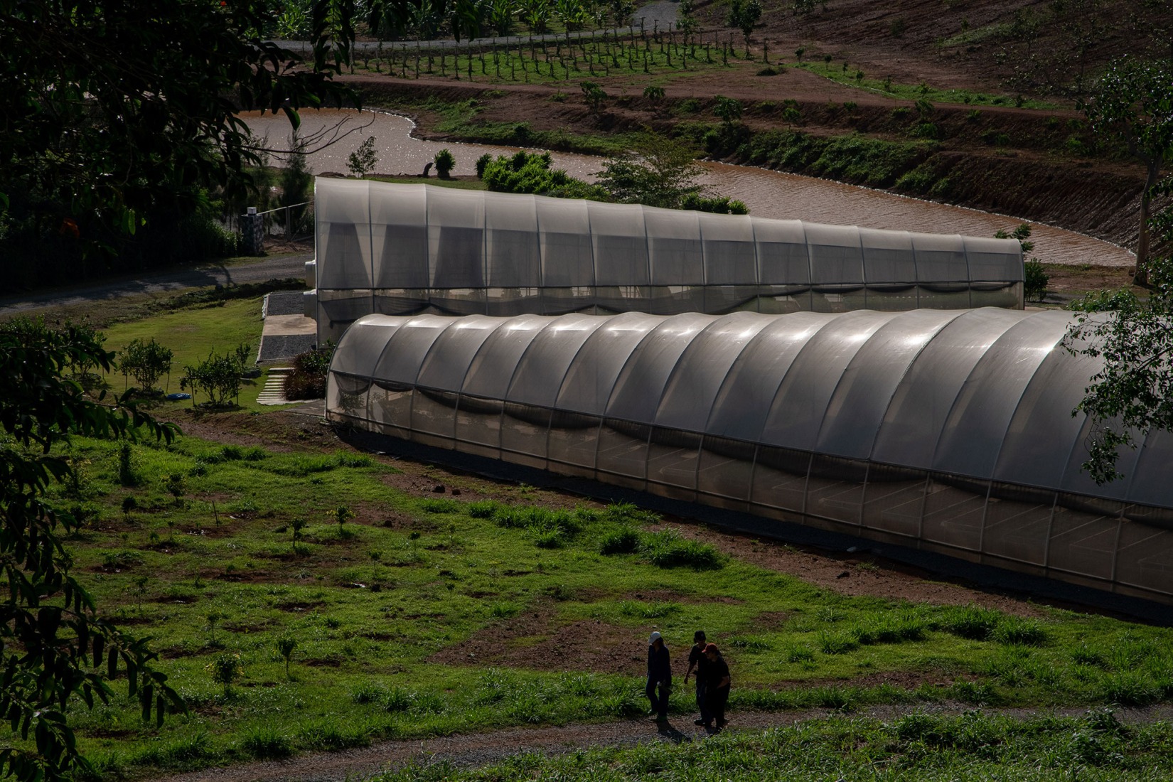 Camping Landhopper por PHTAA Living Design. Fotografía de Kukkong Thirathomrongkiat.