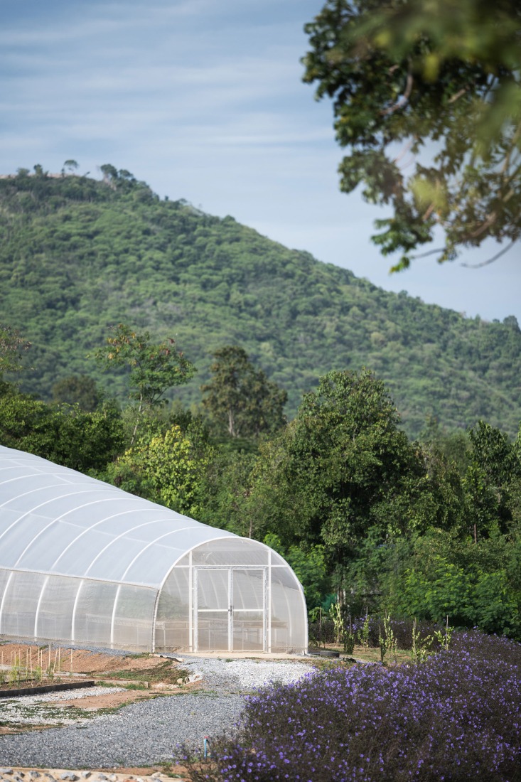 Camping Landhopper por PHTAA Living Design. Fotografía de Kukkong Thirathomrongkiat.