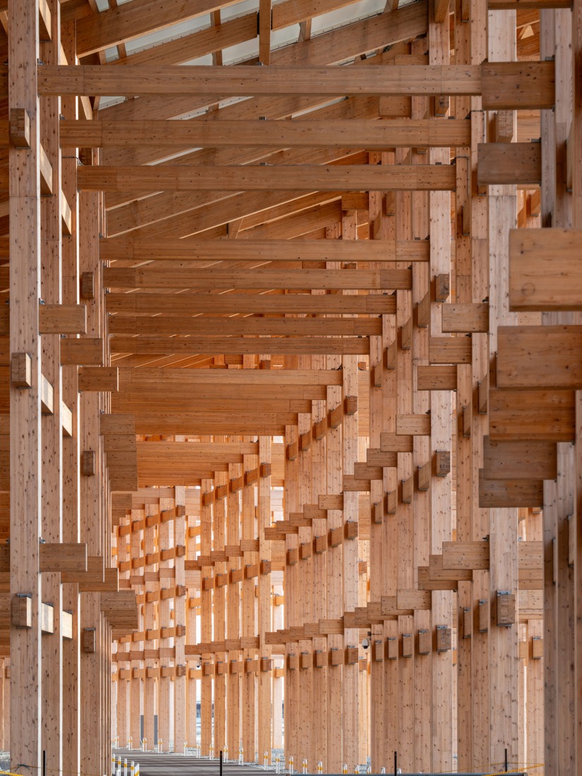 El Gran Anillo por Sou Fujimoto. Fotografía por William Mulvihill.
