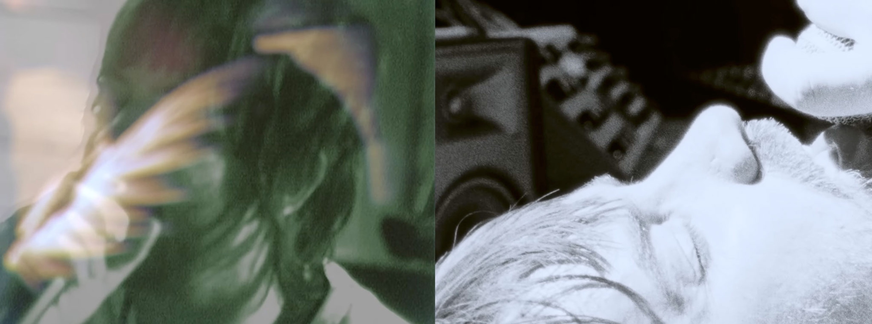 “End Of Summer” by Tame Impala. “End Of Summer” by Tame Impala.