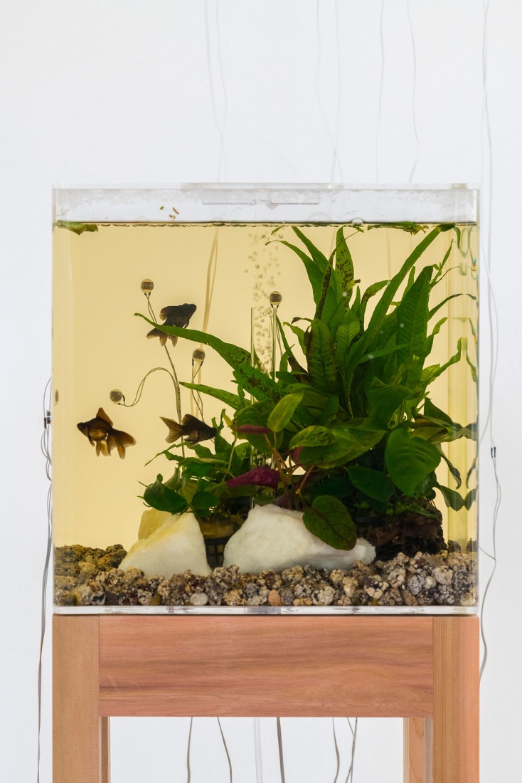 Yuko Mohri, «Flutter», 2018. Vista de la instalación, «Voluta», Camden Arts Centre, Londres, 2018. Cortesía de la artista. Foto: Damian Griffiths.