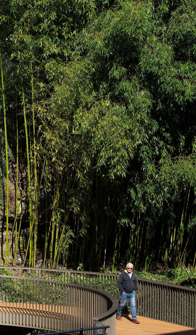 Elevator over a stream by Barru Arkitektura. Photograph by Jorge Allende.