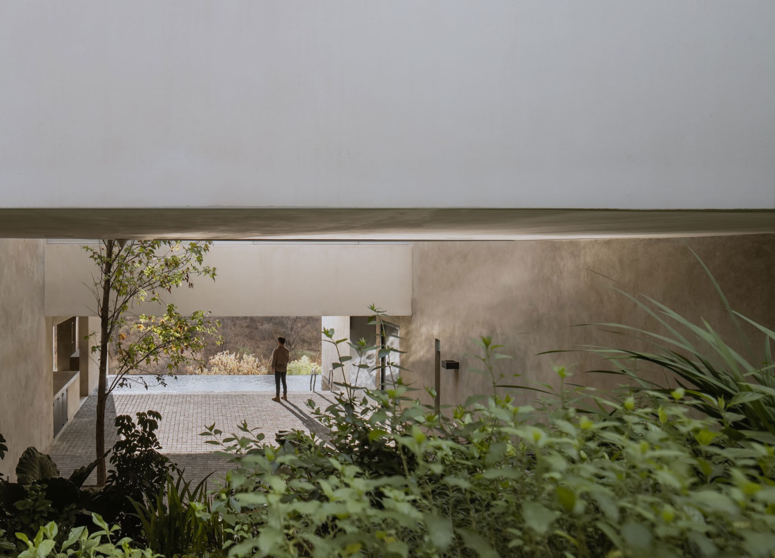 Cañada House by Escobedo Soliz. Photograph by Ariadna Polo.