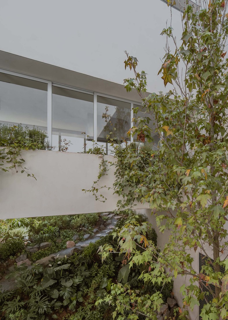 Cañada House by Escobedo Soliz. Photograph by Ariadna Polo.