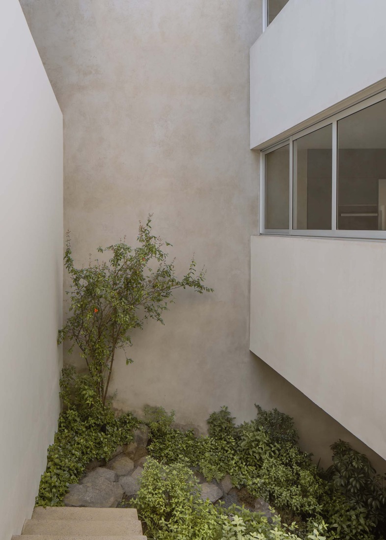 Cañada House by Escobedo Soliz. Photograph by Ariadna Polo.