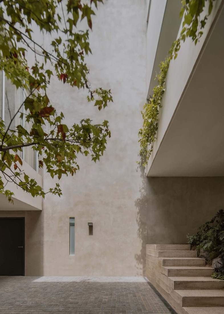 Cañada House by Escobedo Soliz. Photograph by Ariadna Polo.
