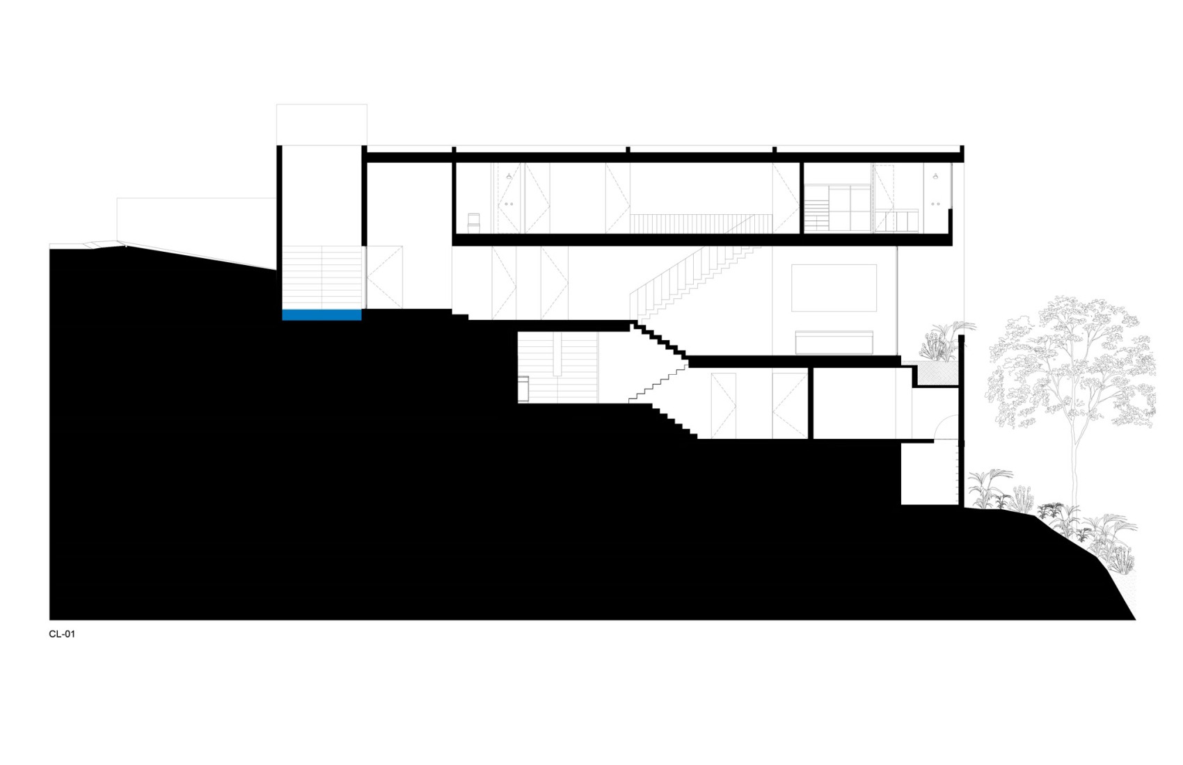 Longitudinal section. Cañada House by Escobedo Soliz. 