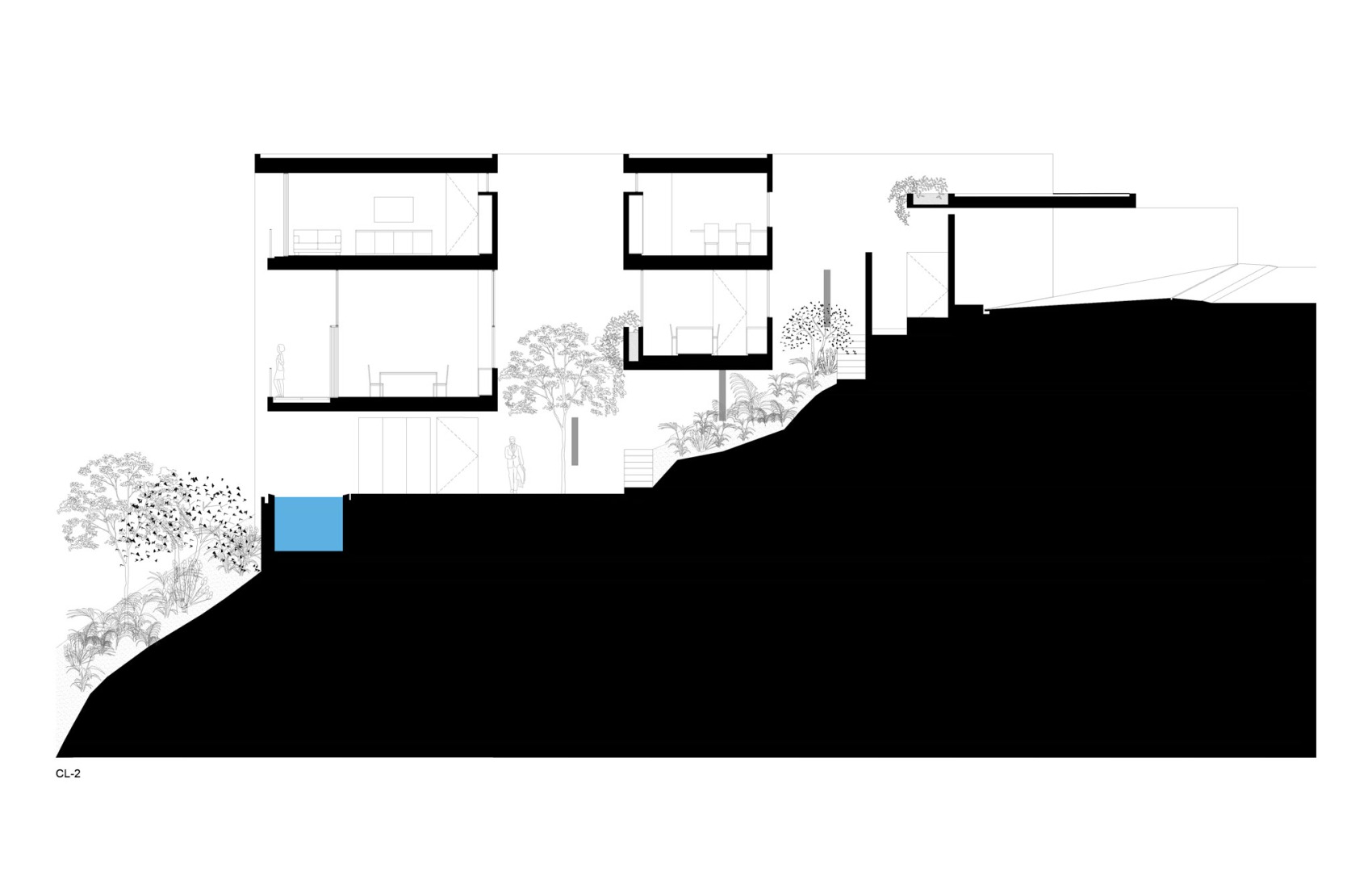 Longitudinal section. Cañada House by Escobedo Soliz. 
