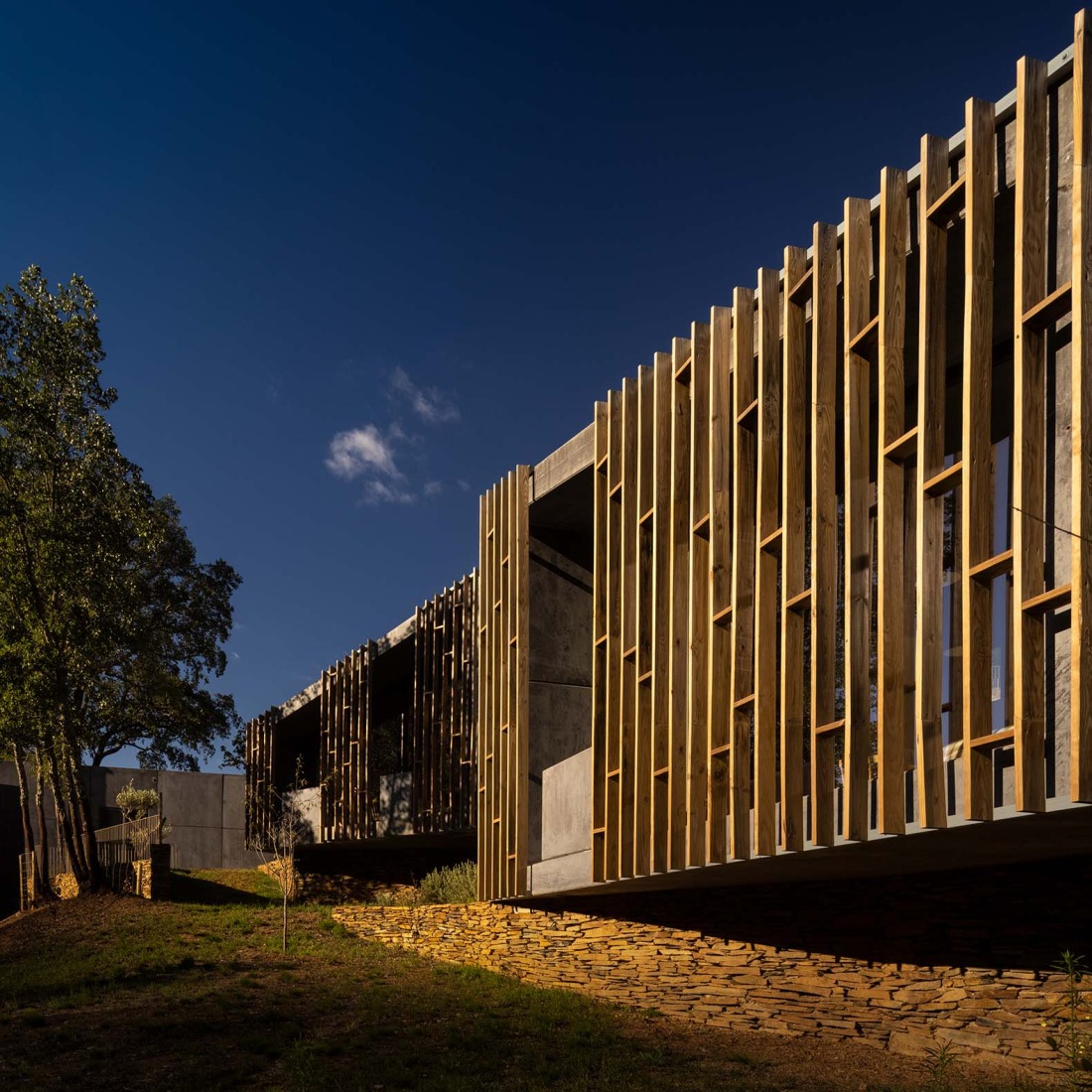 11 habitáculos en el bosque por Summary. Fotografía por Fernando Guerra | FG+SG. 11 habitáculos en el bosque por Summary. Fotografía por Fernando Guerra | FG+SG.