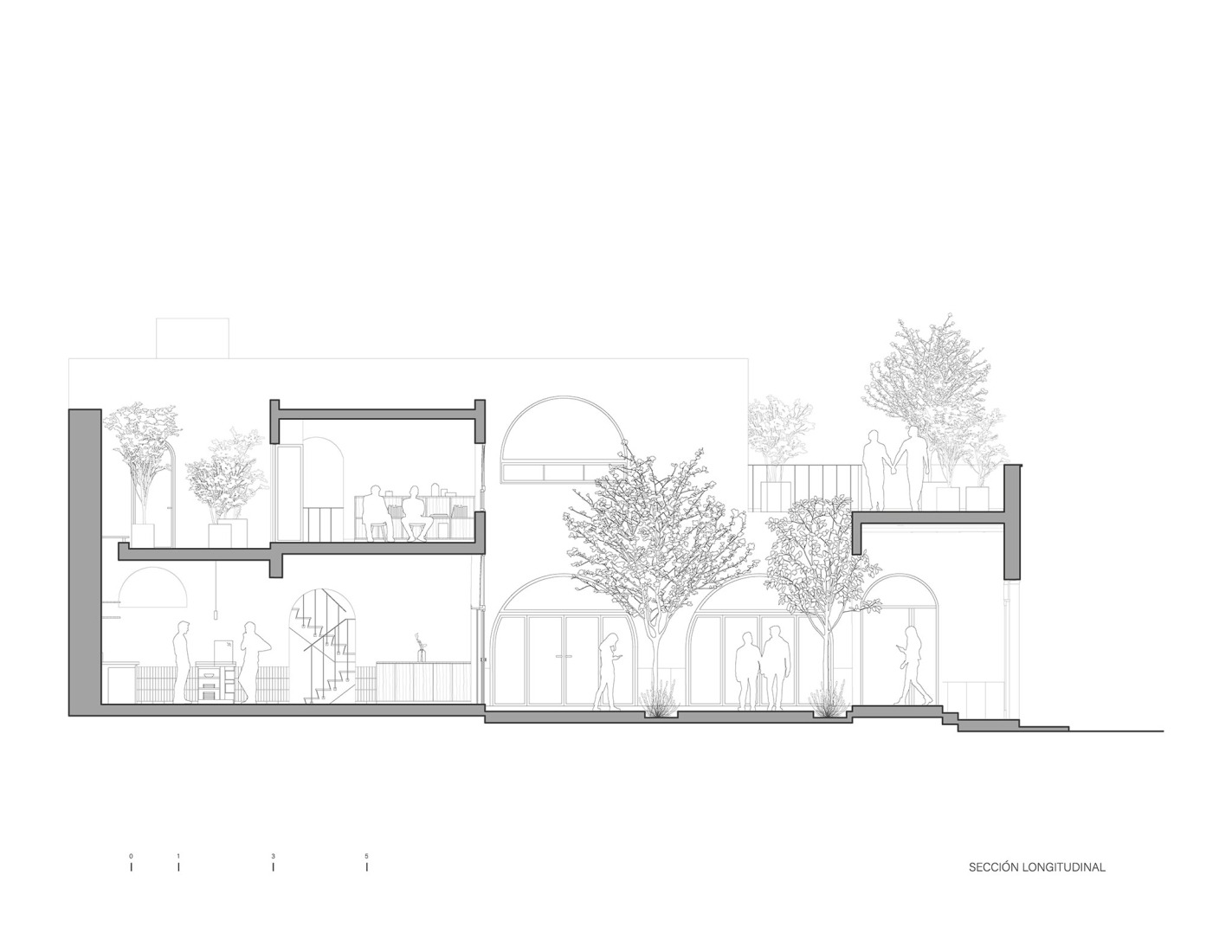 Sección longitudinal. Centro Comunitario LGBTQ+ Casa de Rubén por Intersticial Arquitectura.