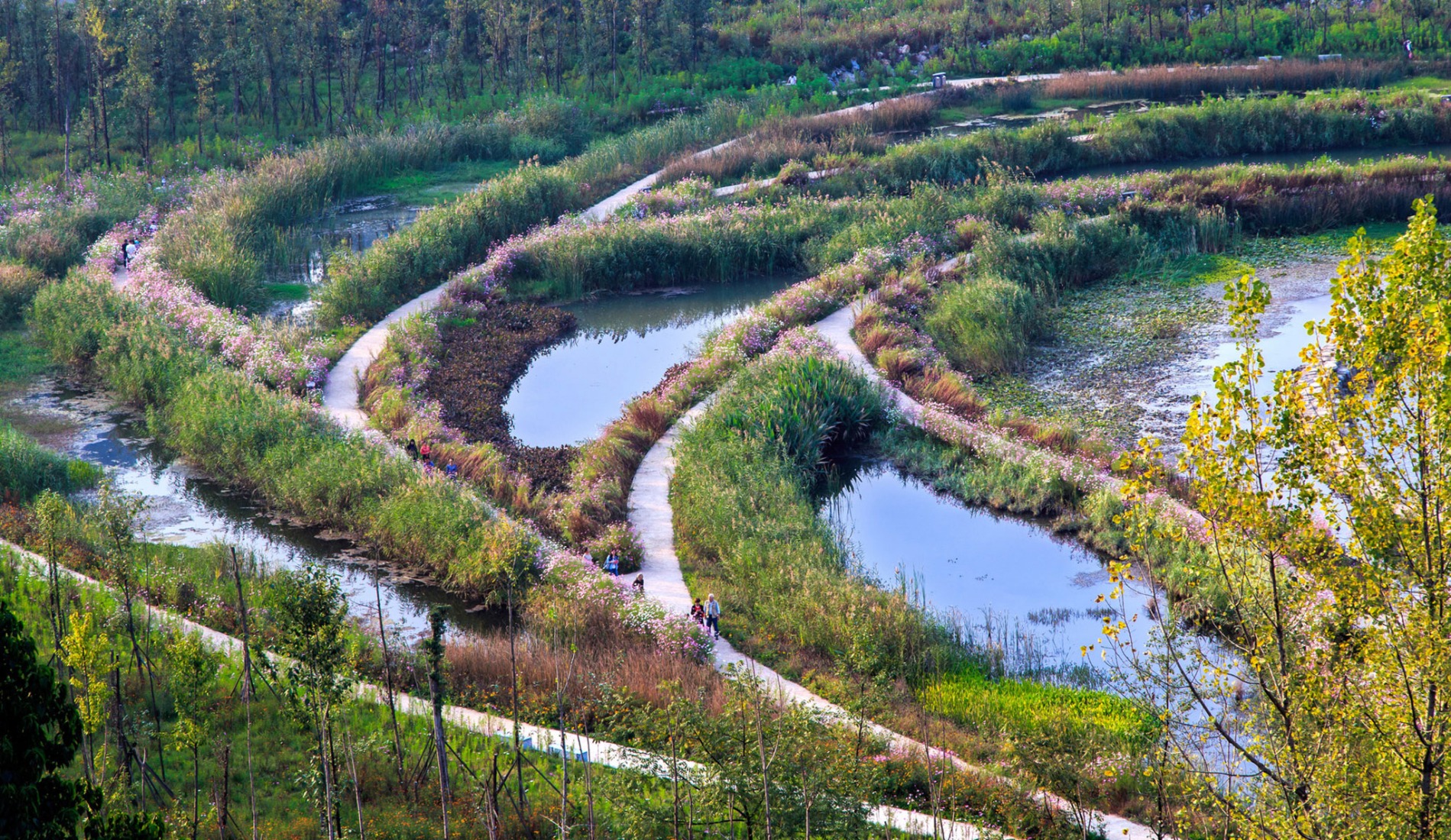Parque de humedales Liupanshui Minghu por Turenscape. Fotografía por Kongjian YU. 
