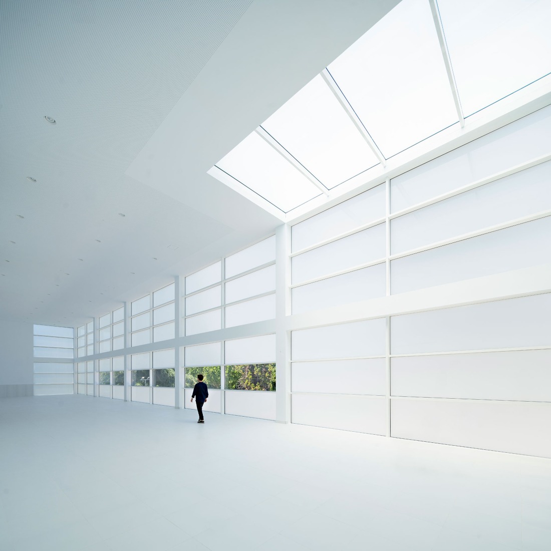 Biblioteca para el Liceo Francés de Madrid por Alberto Campo Baeza. Fotografía por Javier Callejas Sevilla.