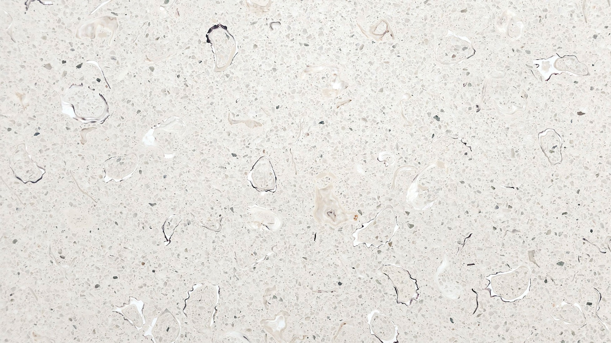 Oyster Terrazzo. Pier Pavilion by Besley & Spresser.
