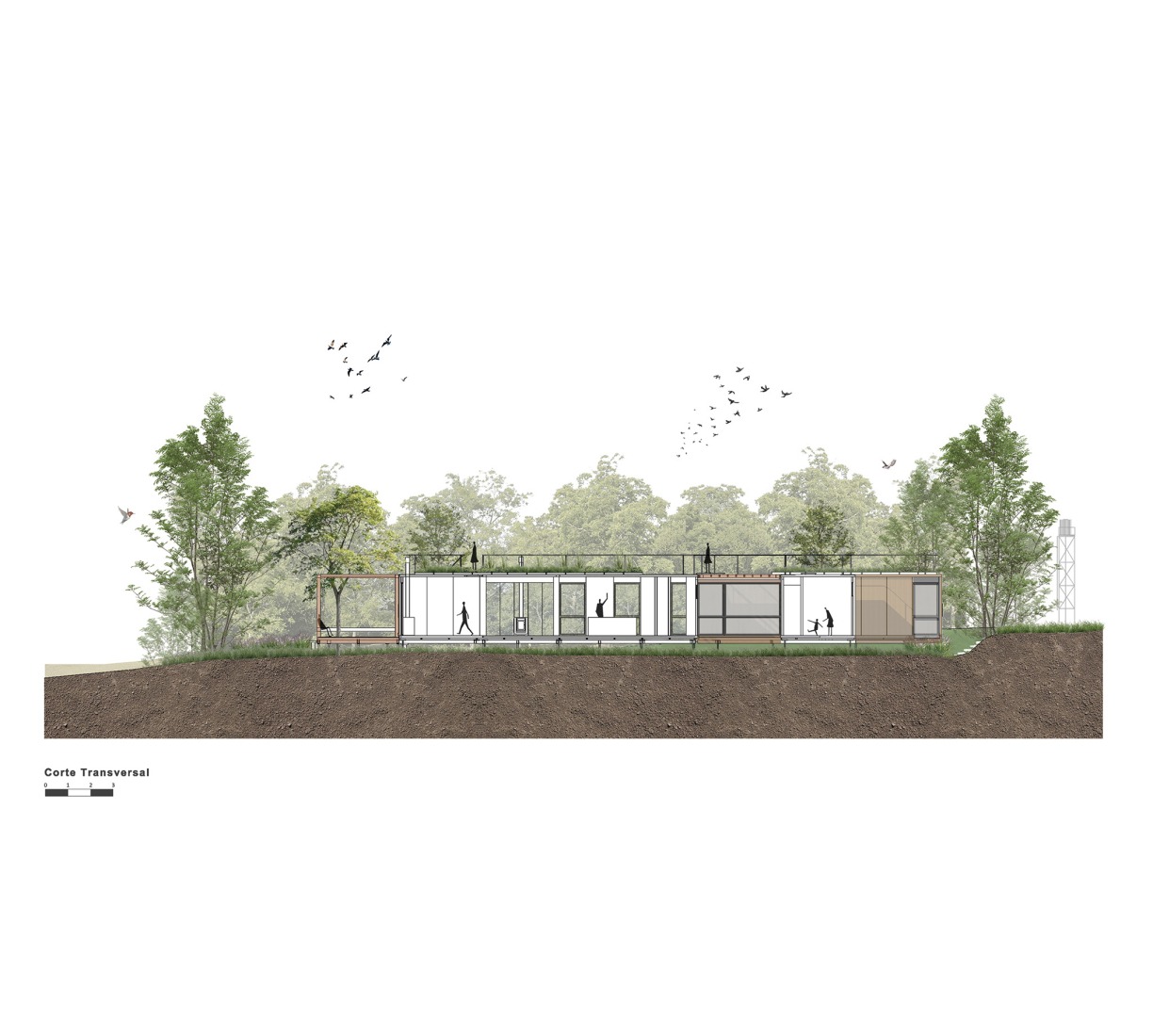 Sección transversal. Casa de veraneo en Chapadmalal por Estudio Borrachia. 