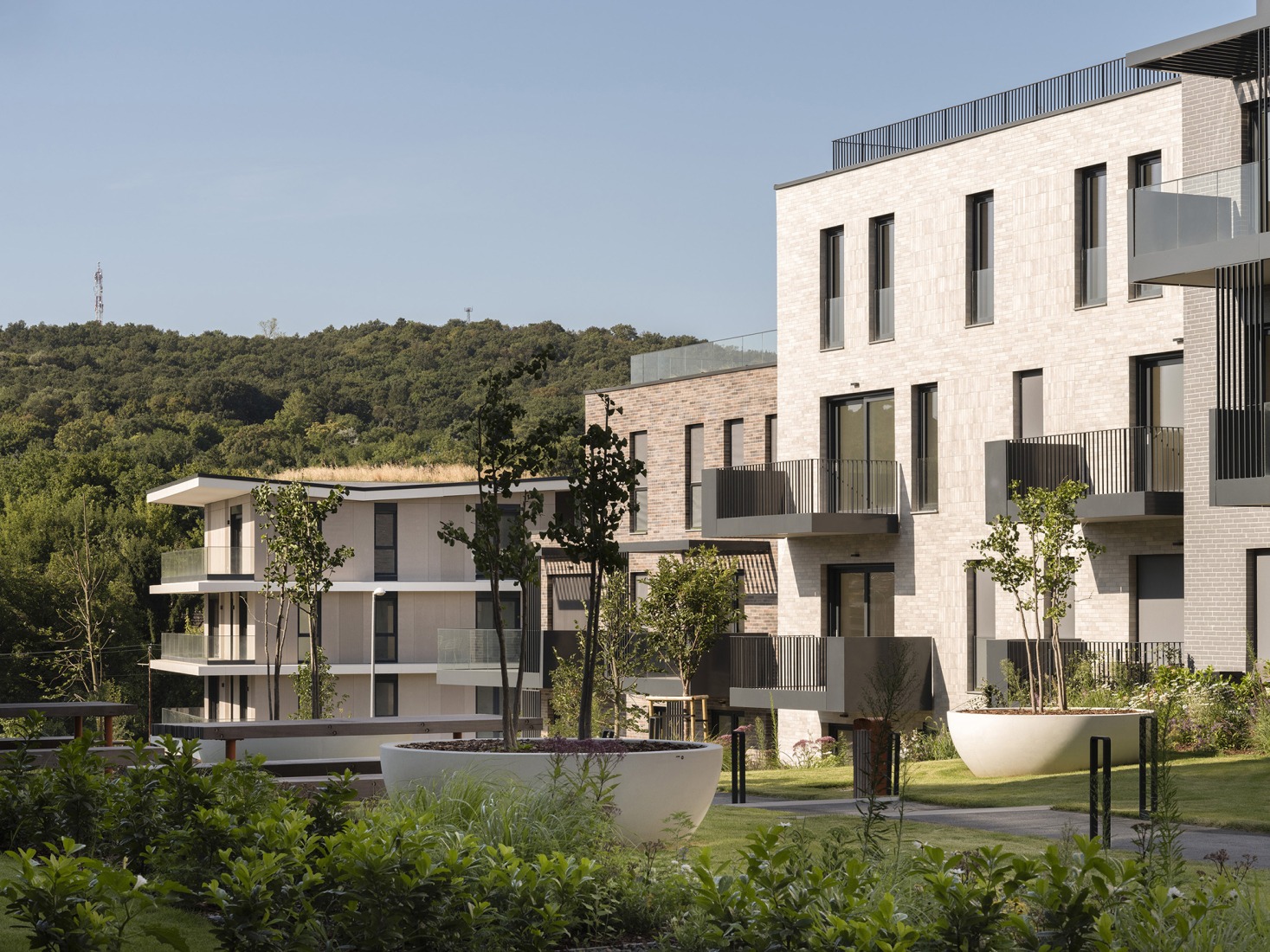 Casa y parque «Lake 11» por Coldefy + DDS. Fotografía por Tamás Bujnovszky.