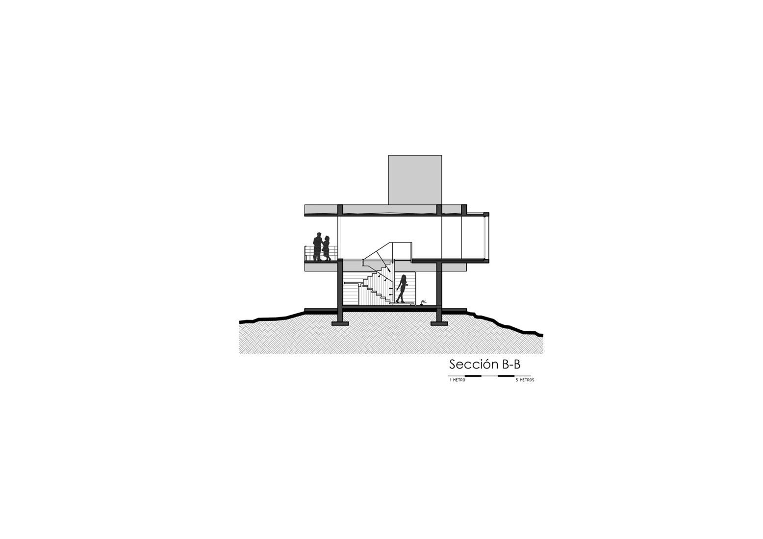Sección. Casa en el Dragón por Cristián Nanzer.