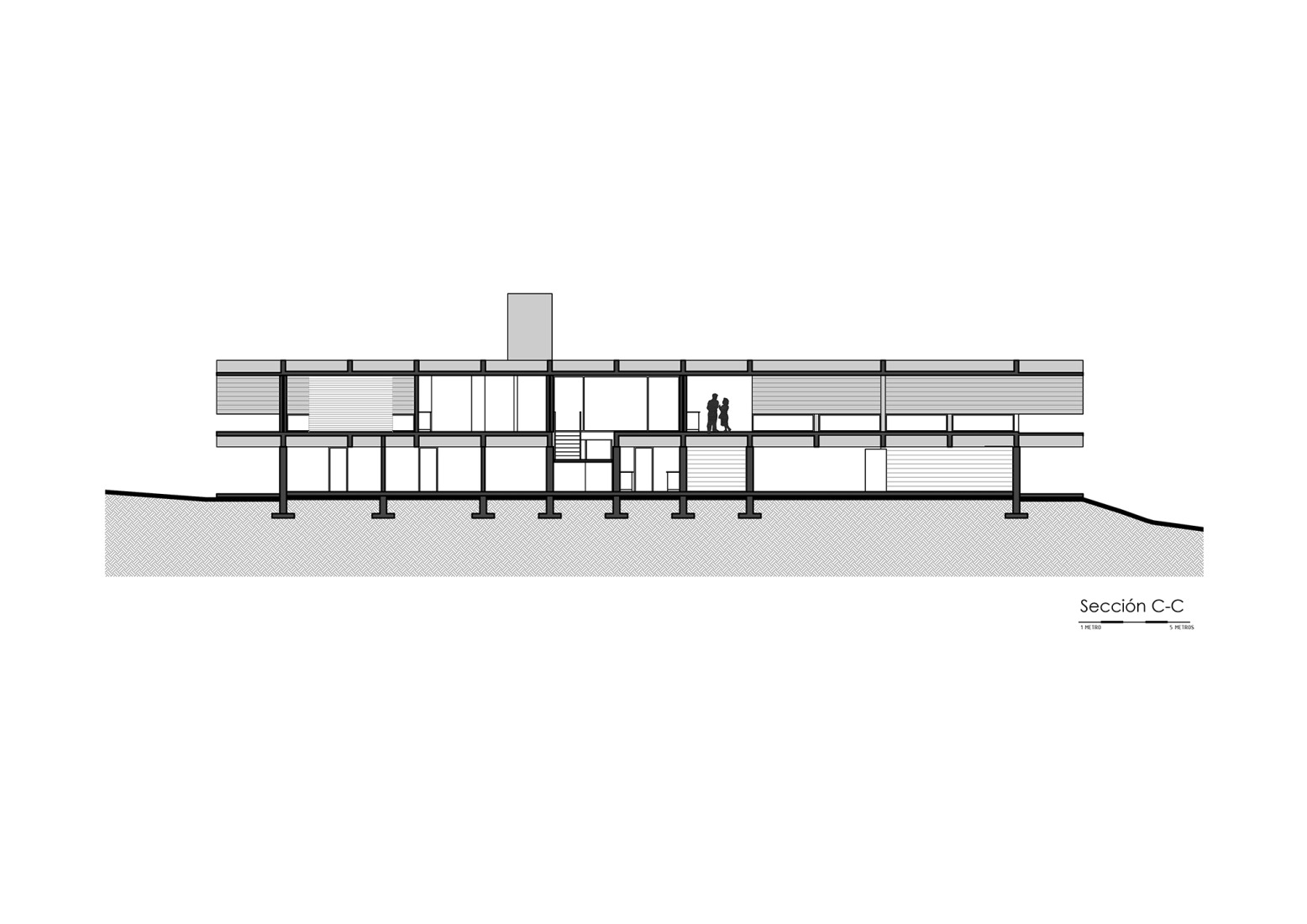 Sección. Casa en el Dragón por Cristián Nanzer.