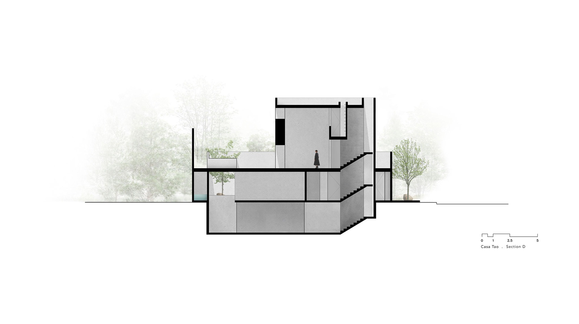 Sección D. Casa Tao por HW Studio.