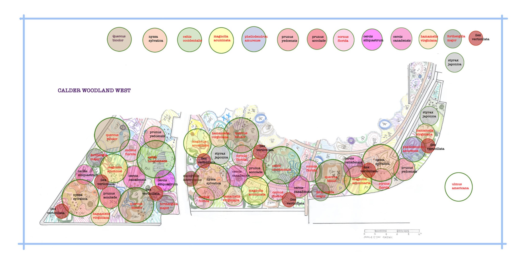 Tree floor plan. Calder Gardens by Piet Oudolf.