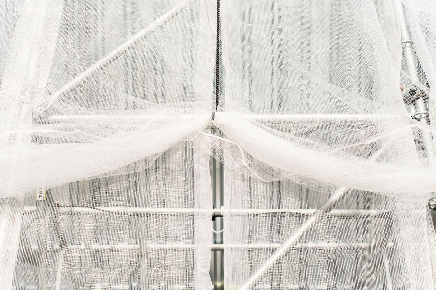 Etxenoi by AMA Architectural Office. Photograph by Mikel Blasco. Image courtesy by Mugak/2025.