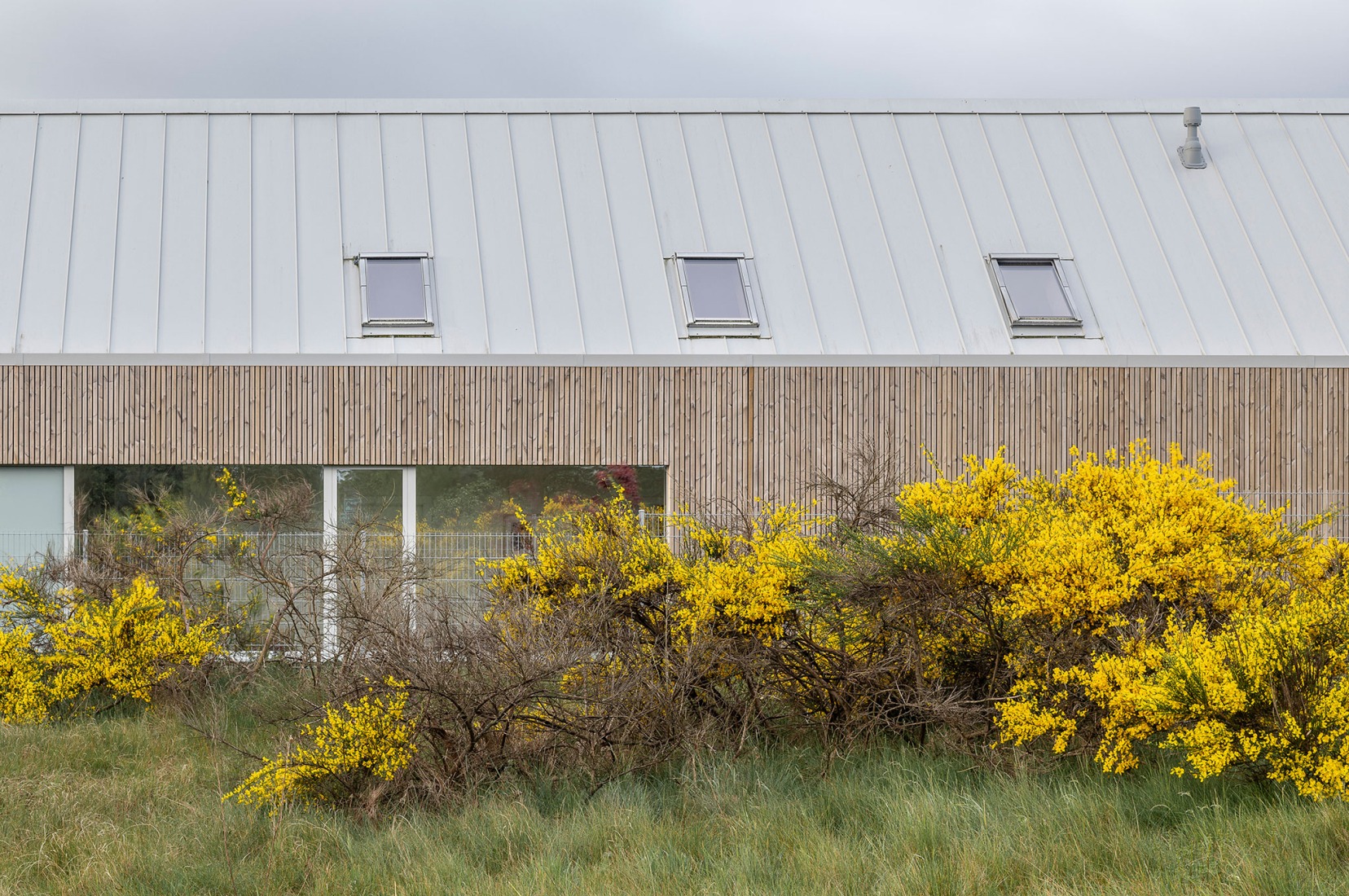 House in Jastrzębia Góra by Archmondo. Photograph by Jakub Certowicz.