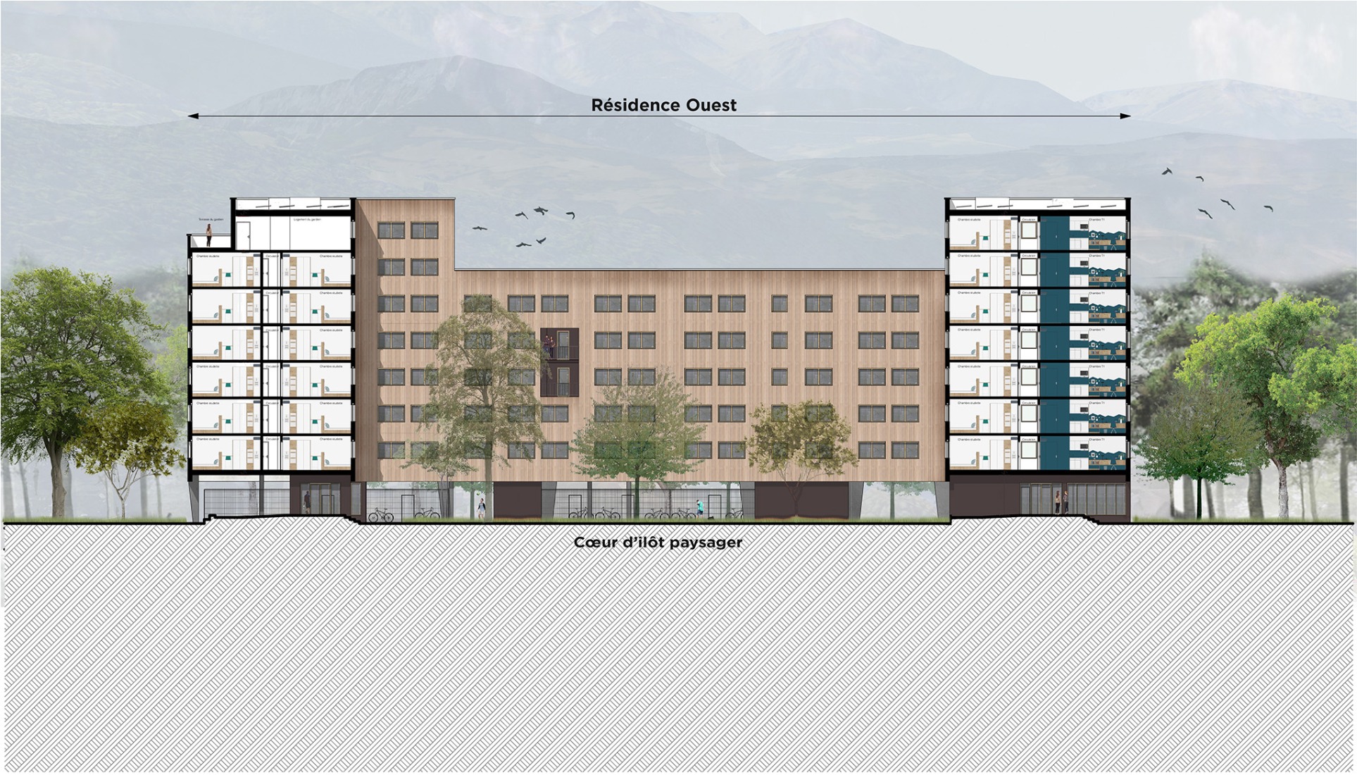Sección longitudinal. Residencia de estudiantes Joséphine Baker por Ateliers A+ y Atelier Métis.