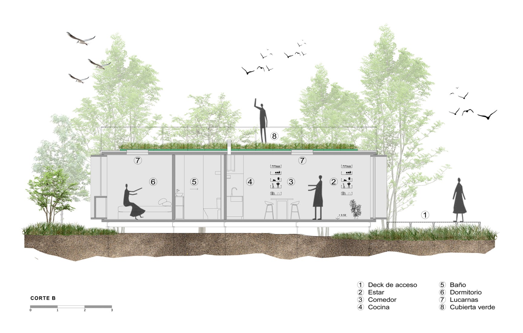 Section. Minimal house in La Plata by Estudio Borrachia. 