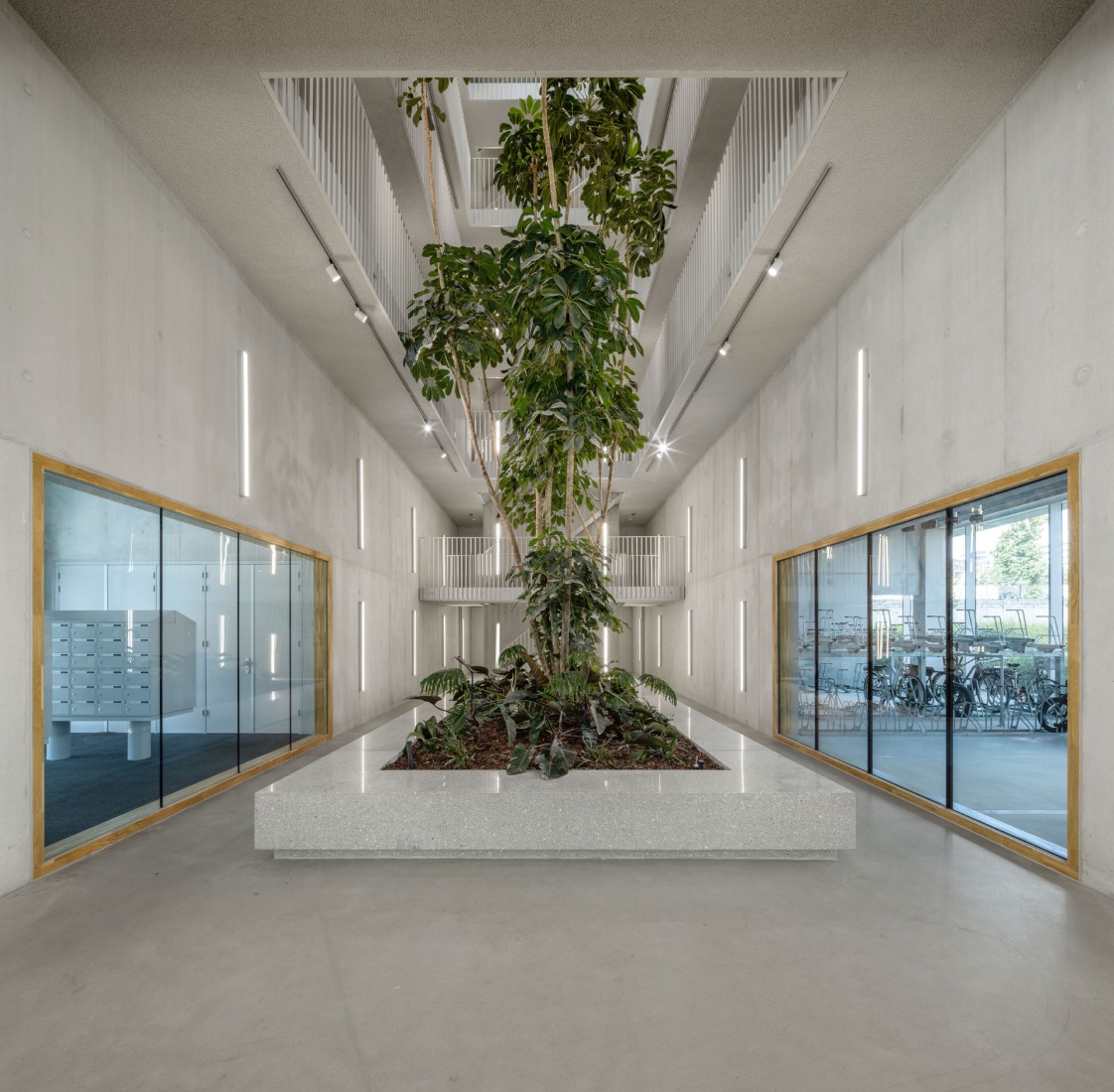 Complejo de viviendas sociales «De Vrijheid» por Atelier Kempe Thill architects and planners. Fotografía por Ulrich Schwarz.