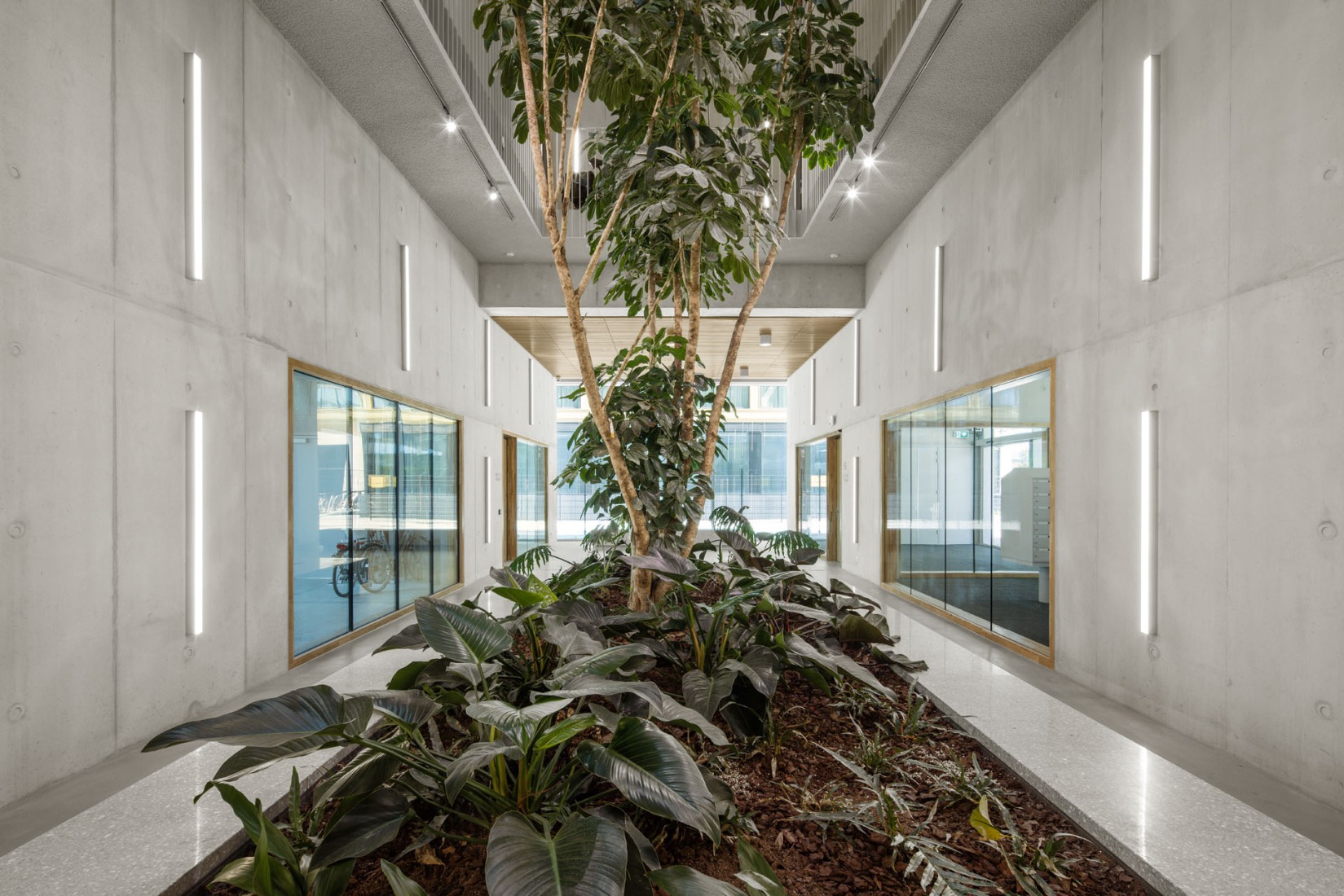 Complejo de viviendas sociales «De Vrijheid» por Atelier Kempe Thill architects and planners. Fotografía por Ulrich Schwarz.