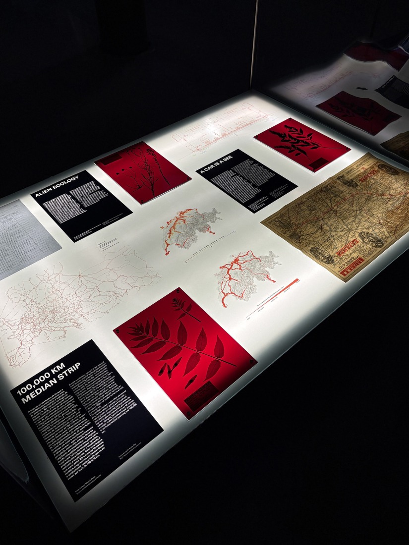 Exhibition SPECTRES. Lisbon Architecture Triennale. Photograph by Agustina Berta.