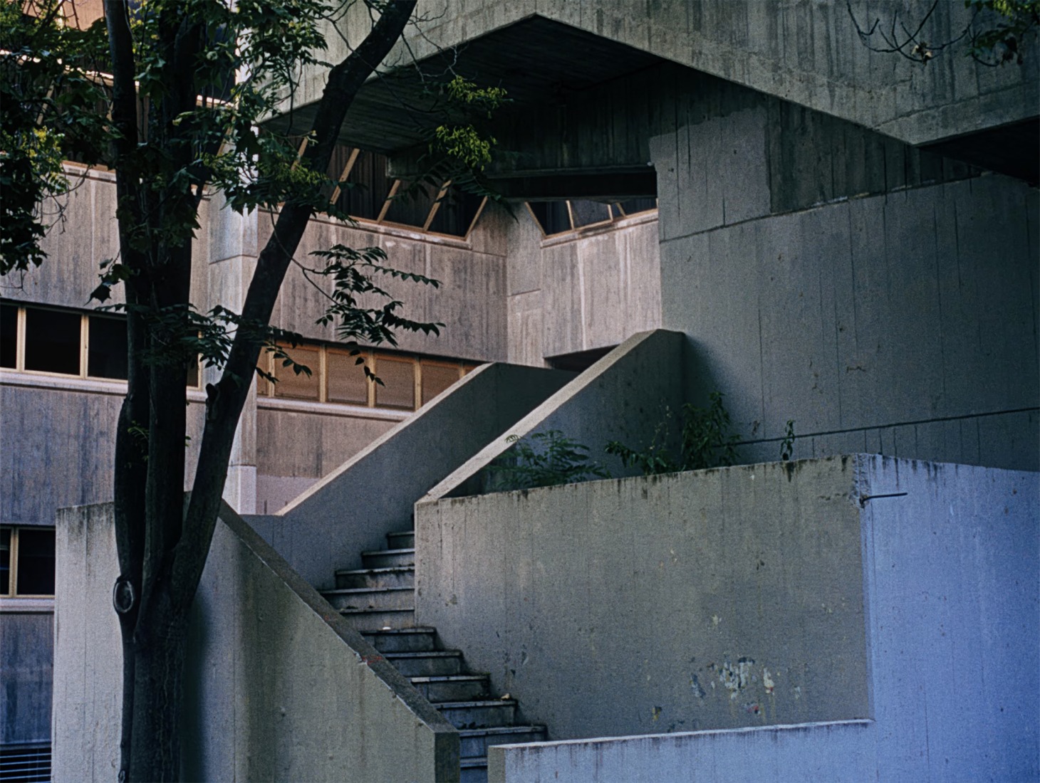 "Mala De Verdad" by La Plazuela.