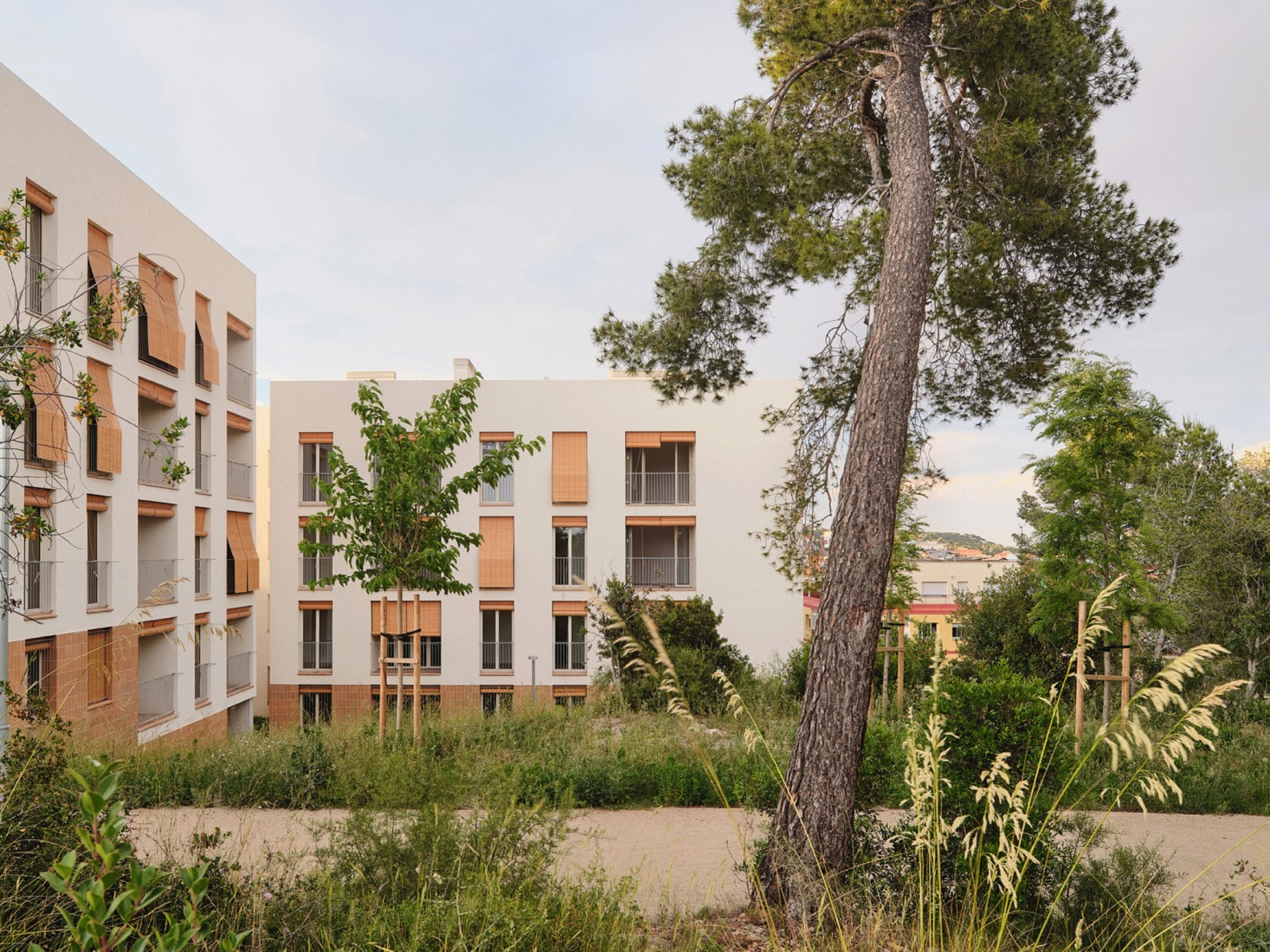 Sustainability and spatial quality. 72 Social Housing in Castelldefels by Carles Enrich Studio. Photograph by Adrià Goula.