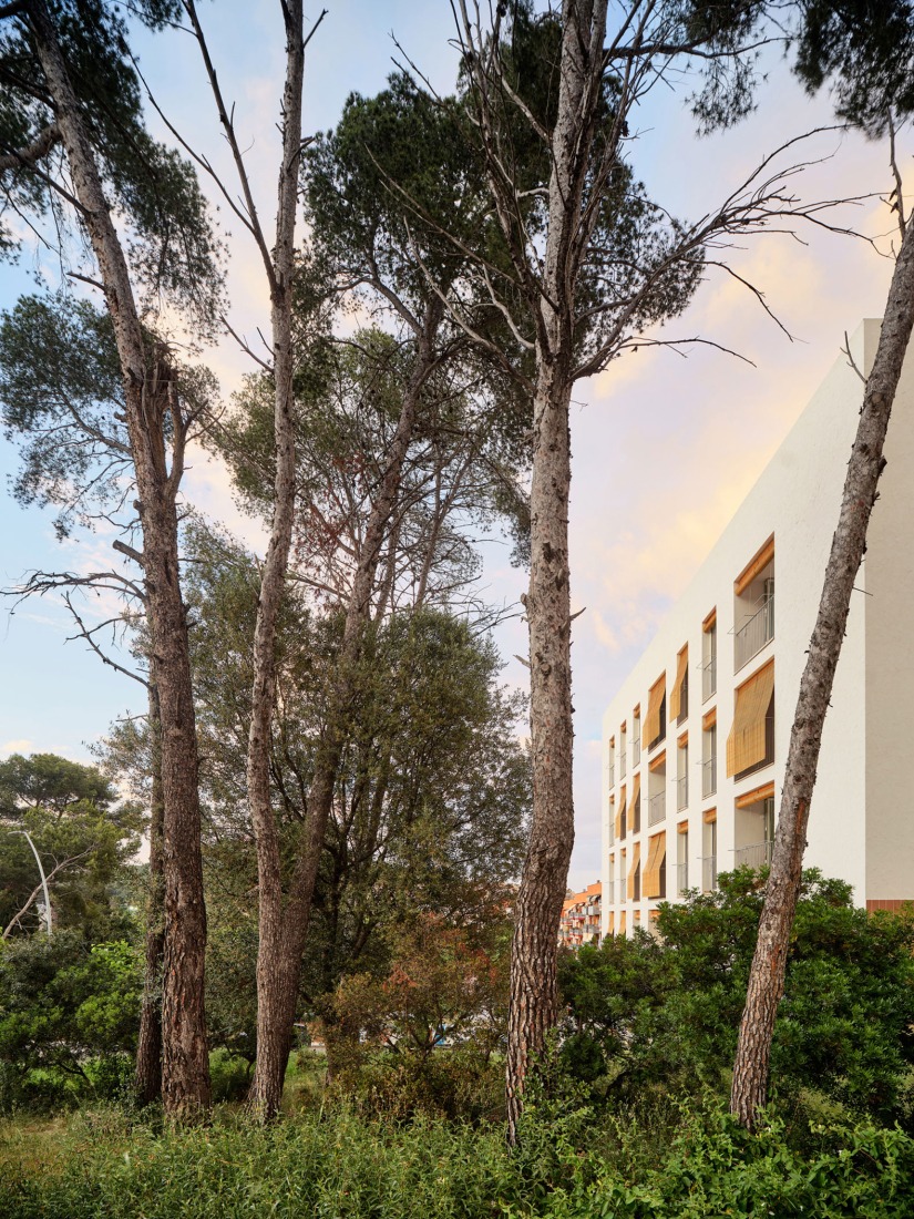 Sustainability and spatial quality. 72 Social Housing in Castelldefels by Carles Enrich Studio. Photograph by Adrià Goula.